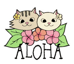 Hawaiian cats LOCO&MOCO sticker #11465704