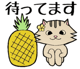 Hawaiian cats LOCO&MOCO sticker #11465714
