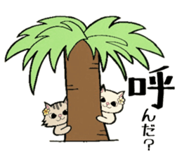 Hawaiian cats LOCO&MOCO sticker #11465732