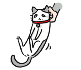 MOCHI cats sticker #11466005