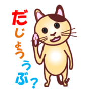 Invited the cat sticker #11466790