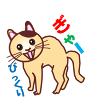 Invited the cat sticker #11466793