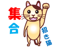Invited the cat sticker #11466801
