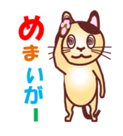 Invited the cat sticker #11466802