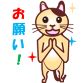 Invited the cat sticker #11466821