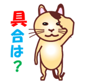 Invited the cat sticker #11466822