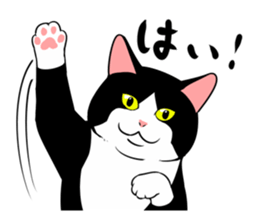 A little fat cat 5 sticker #11467264