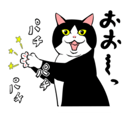 A little fat cat 5 sticker #11467266