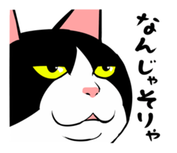 A little fat cat 5 sticker #11467268