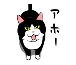 A little fat cat 5 sticker #11467269