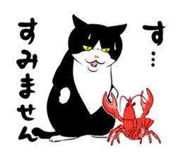 A little fat cat 5 sticker #11467271