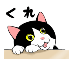 A little fat cat 5 sticker #11467272