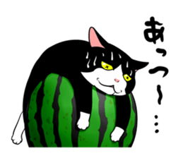 A little fat cat 5 sticker #11467276