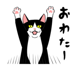 A little fat cat 5 sticker #11467279