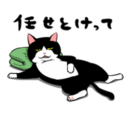 A little fat cat 5 sticker #11467281