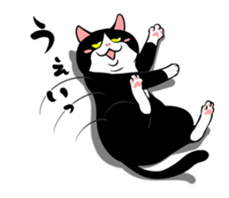 A little fat cat 5 sticker #11467282