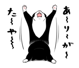 A little fat cat 5 sticker #11467285