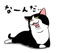 A little fat cat 5 sticker #11467286