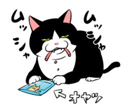 A little fat cat 5 sticker #11467292