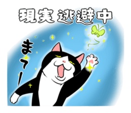 A little fat cat 5 sticker #11467296