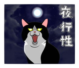 A little fat cat 5 sticker #11467301