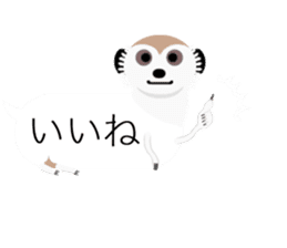 Zoo balloon sticker #11469453