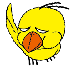 small bird PINO sticker #11470992