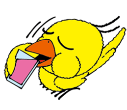 small bird PINO sticker #11470994