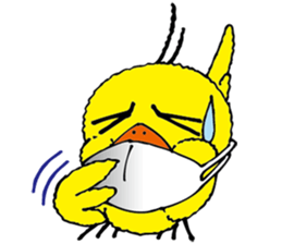 small bird PINO sticker #11470997