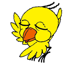 small bird PINO sticker #11470999