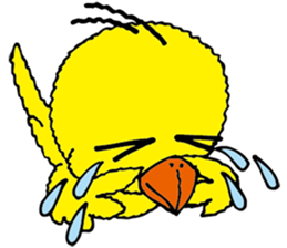 small bird PINO sticker #11471004