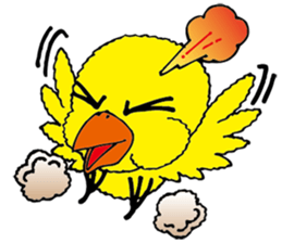 small bird PINO sticker #11471014