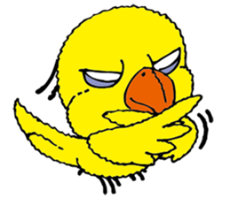 small bird PINO sticker #11471015