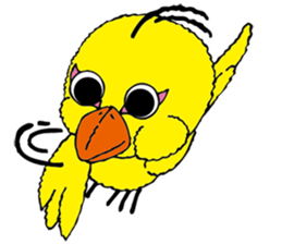 small bird PINO sticker #11471021