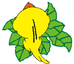 small bird PINO sticker #11471030