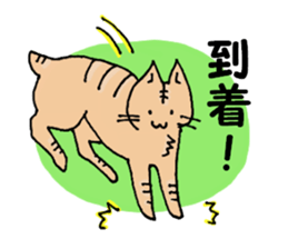 Azuki and Kiji the cat sticker #11474264