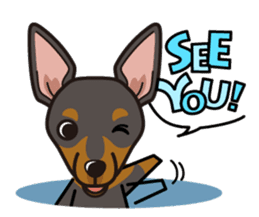 iinu - Toy Manchester Terrier sticker #11474600