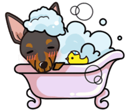 iinu - Toy Manchester Terrier sticker #11474625