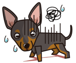 iinu - Toy Manchester Terrier sticker #11474631