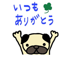 pug  pug sticker sticker #11477498