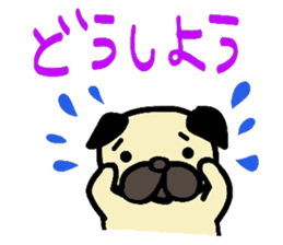pug  pug sticker sticker #11477509