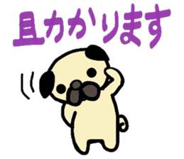 pug  pug sticker sticker #11477521