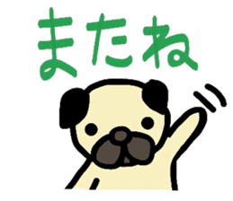 pug  pug sticker sticker #11477533