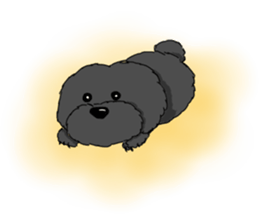 black lovely poodle sticker #11477898