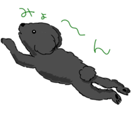 black lovely poodle sticker #11477900