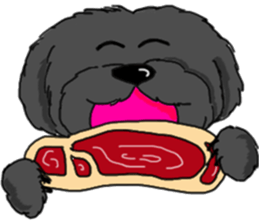 black lovely poodle sticker #11477901