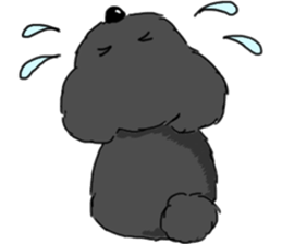 black lovely poodle sticker #11477904