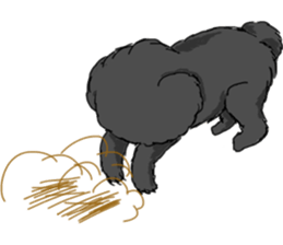 black lovely poodle sticker #11477907
