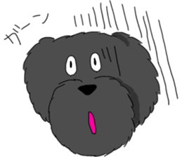 black lovely poodle sticker #11477911