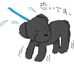 black lovely poodle sticker #11477916